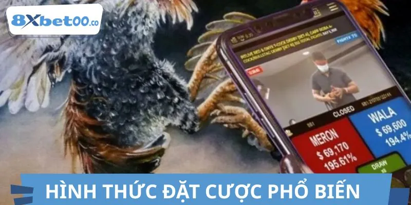 Các cửa cược chính trong loại hình đá gà